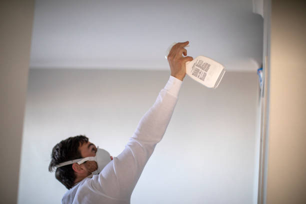Best Residential Mold Remediation in Dover, FL
