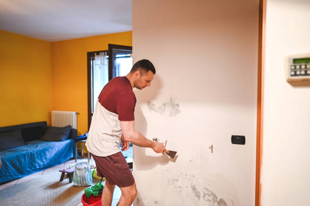 Best Post-Flood Mold Remediation in Dover, FL
